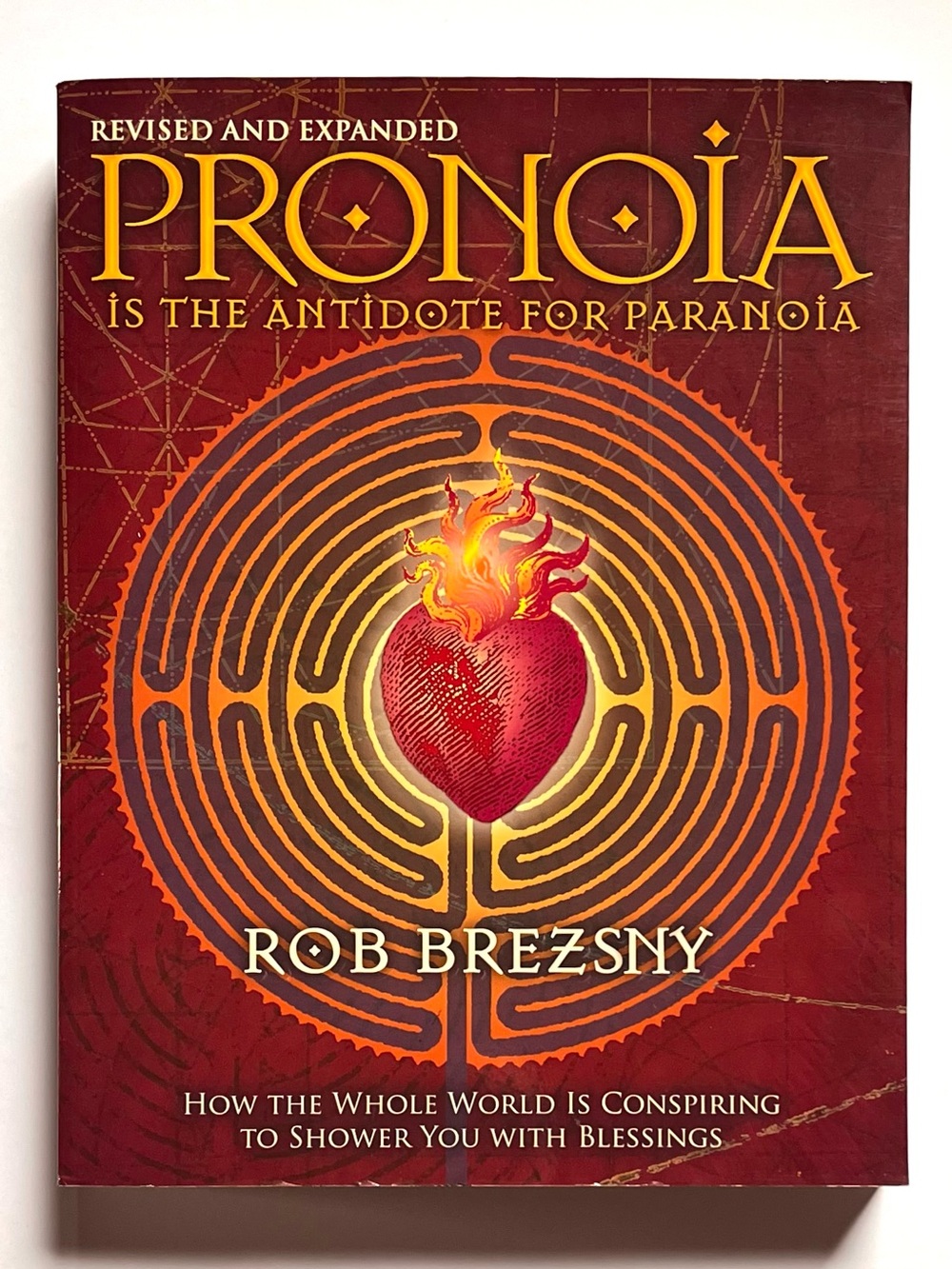 Pronoia Is the Antidote to Paranoia New Age Self Exploration Book by Rob Brezsny
